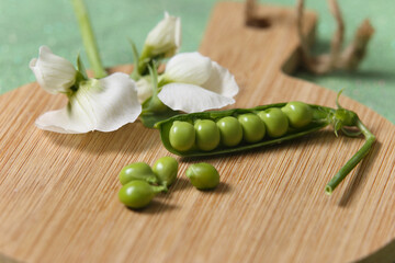 Legumes - The pod of peas with the white flower typical of the pea plant placed on the wooden tray