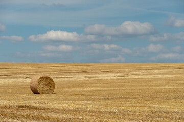 A round haystack in a field against a background of blue sky and fluffy clouds. The season of harvesting and grain crops. Beautiful landscape in an agricultural field.