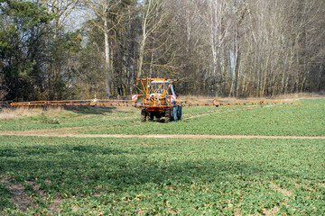 A tractor with a trailer works in a field with a spray gun. Treatment of young green plants from pests and insects. The use of pesticides in the food industry.