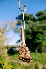 Piece of old meat and bone hanging from a string to feed birds. Bird feeders.