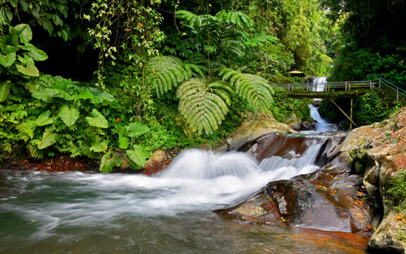 Small waterfall of Gitgit in singaraja regency of Bali