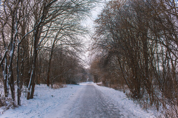 Winter landscape in Braunschweig, Lower Saxony, Germany. Snow covered Westpark on a cloudy winter day