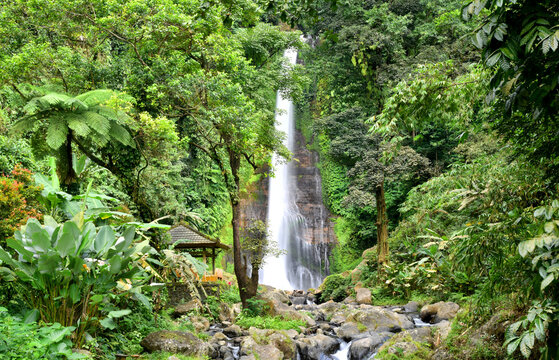 Gitgit waterfall in Singaraja regency of Bali