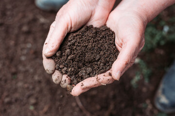 Female farmer hands holding soil. Environmental protection concept