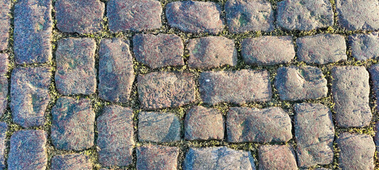 View of granite paving stones. The grass between the stones. Background