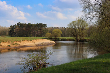 Flu&szlig;landschaft im Emsland: Hase zwischen Hasel&uuml;nne und Meppen