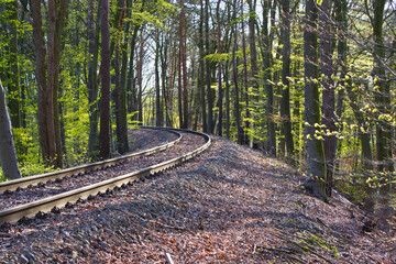 Obraz premium Schienen in der Sonne