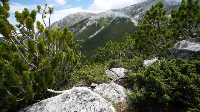 Tavole dei Briganti, rock engravings on limestone made by brigands during their refuge in the mountains. Trekking on Mount Amaro in the Majella national park. Maiella mountain massif, Abruzzo, L'Aquil