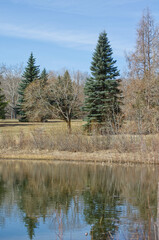 Fototapeta na wymiar A Pond at Gold Bar Park, Edmonton, AB