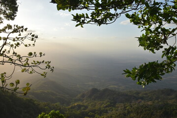 paisaje natural con ramas y arboles con cielo y sol naranja