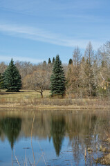 A Pond at Gold Bar Park, Edmonton, AB