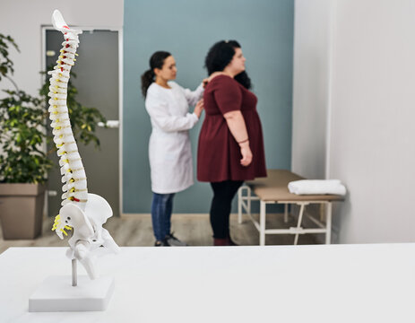 Protrusion And Herniation Disc In Obese People. Doctor Examines A Overweight Woman Patient's Spine