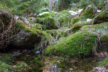 Rocks in stream with smooth flowing water