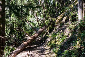 Trail closed