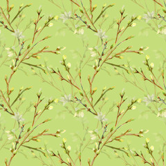 Watercolor illustration of a flowering branch.The motive of the tree branch, the image on a white and colored background.Seamless pattern.