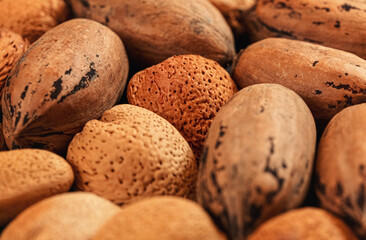 Mixed whole pecan nuts and almonds closeup detail