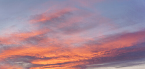 Pink orange sunset cirrus clouds on evening sky