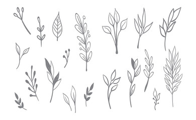 Hand drawn floral elements. Swirls, laurels, arrows, leaves, flowers and branches. Doodle botanical elements.