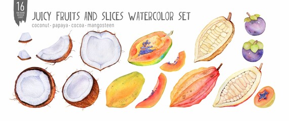 Fresh papaya, coconut and cocoa watercolor set, halves, slices, bites. Handdrawn tropical fruits. Isolation on white watercolor set. 