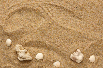 Top view of sea sand or quartz with white shells