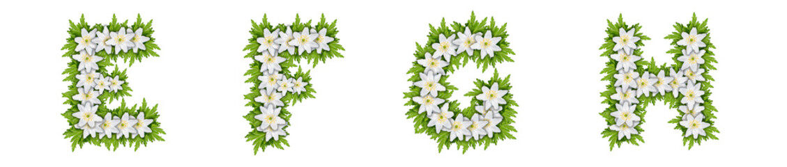 Letters E, G, G, H made of white flowers with leaves, snowdrop