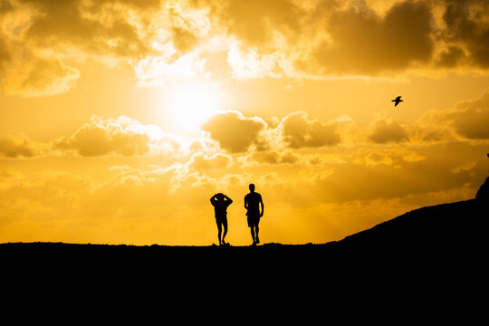 silhouette of a unrecognized person with a backpack in the sunset with the sun and a bird