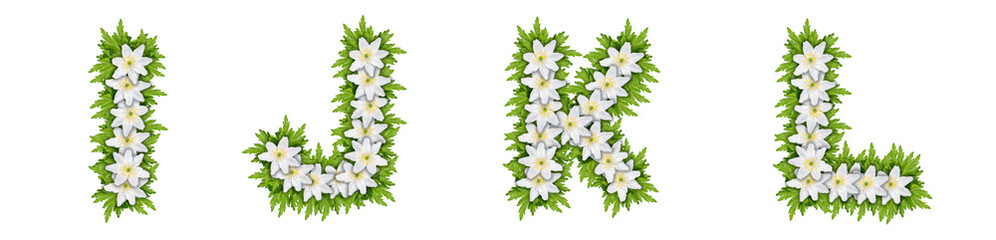 Letters I, J, K, L made of white flowers with leaves, snowdrop