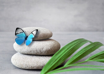 Spa stones with palm branch and butterfly on grey background.