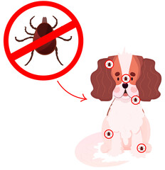 Mite on dog, tick insect. Veterinary for the Protection of Animals. Protection from tick dangerous disease and infection. Babesiosis, Ehrlichiosis and Borreliosis.Vector illustration