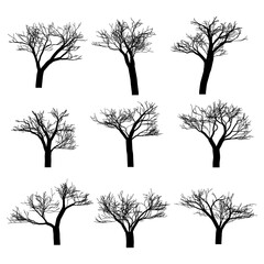 Set of vector trees. Vector tree icon. Tree logo. Vector tree design. Fruit trees and fruit trees. Wild trees and shrubs.