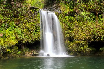 Fototapeta na wymiar Tropical Waterfall on the Island of Maui, Hawaii