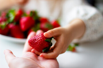 Ripe red strawberries in female hands and children's hands. Healthy vitamin snack for kids. Ripe fresh berries. Harvest season. Natural vitamins	.