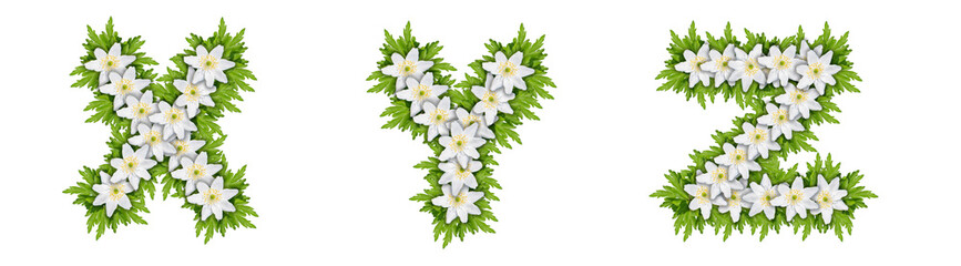Letters X, Y, Z made of white flowers with leaves, snowdrop