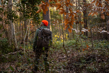 Man hiking hunting in woods