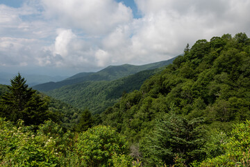 Fototapeta na wymiar Summer in the Appalachian Mountains Viewed Along the Blue Ridge Parkway
