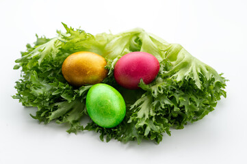 Easter eggs in green leaves.