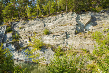 Beautiful nature landscape view.  Rocky coast and tall pine trees on blue sky background. Sweden.