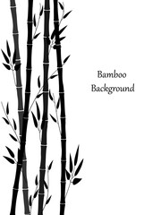 Minimalistic background with bamboo. Bamboo stems and leaves are intertwined. Nice vertical border and place for text. Vector illustration of bamboo forest. Black silhouette of plants. Simple pattern