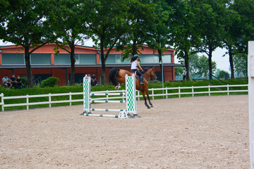 show jumping lessons