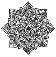 illustration of a flower