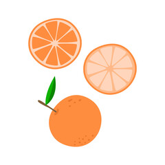 Whole orange and slices. Isolated on a white background. Vector illustration