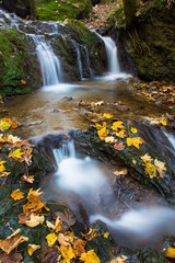 Autumn landscape in Gilan Provine pf Iran.