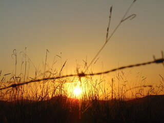 Fototapeta premium Por do Sol