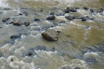 water and stones