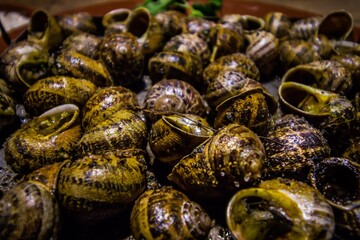 Caracoles estofados con salsa