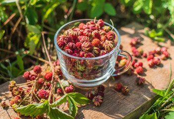 Ripe wild strawberry in green forest close-up