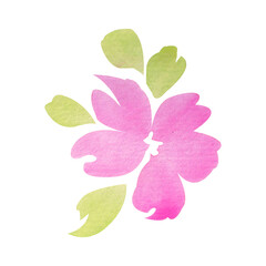 watercolor pink flower drawn without sketch. set of flowers. The watercolor flower is used for wallpaper, notebook covers, bedding, decor, postcards.