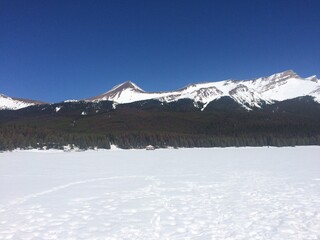 Fototapeta na wymiar Scenic Jasper National Park with perfect blue skies