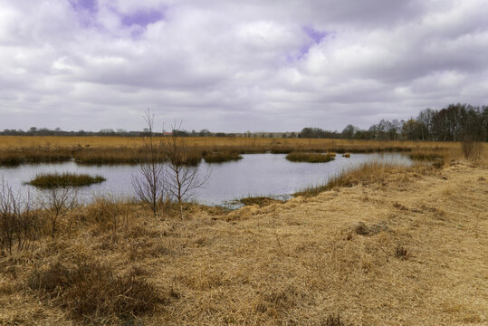 Kleiner See in Moorlandschaft in Eversmeer