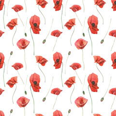 Watercolor seamless pattern with poppies on white background.